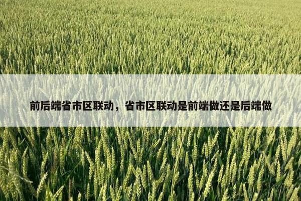 前后端省市区联动，省市区联动是前端做还是后端做