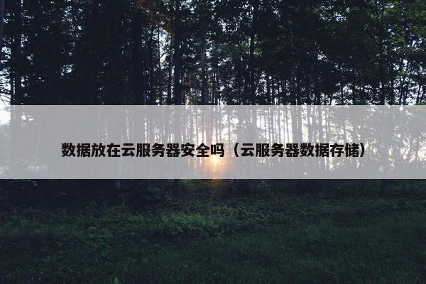 数据放在云服务器安全吗（云服务器数据存储）