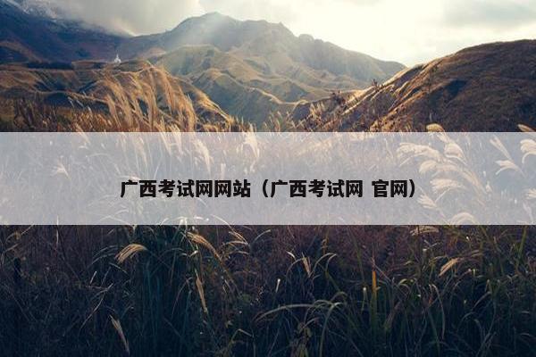 广西考试网网站（广西考试网 官网）