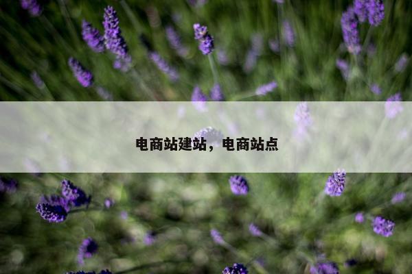电商站建站，电商站点