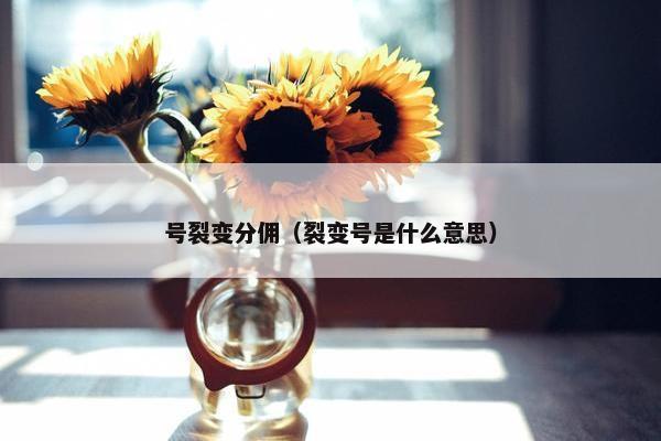 号裂变分佣（裂变号是什么意思）