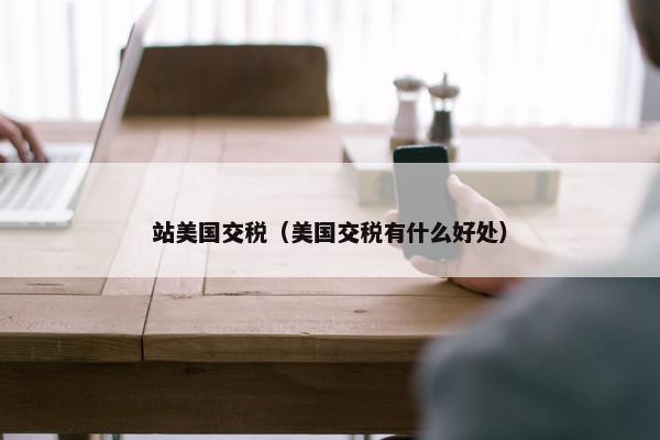 站美国交税（美国交税有什么好处）