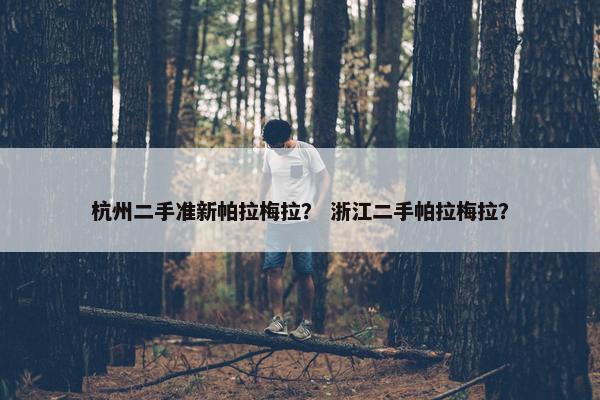 杭州二手准新帕拉梅拉？ 浙江二手帕拉梅拉？