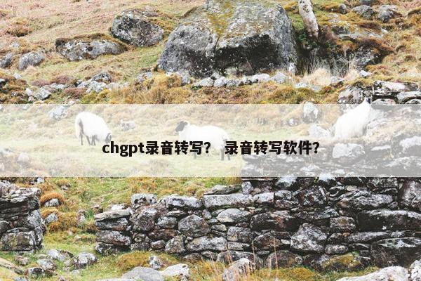 chgpt录音转写？ 录音转写软件？