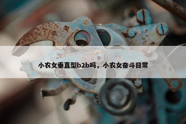 小农女垂直型b2b吗，小农女奋斗日常