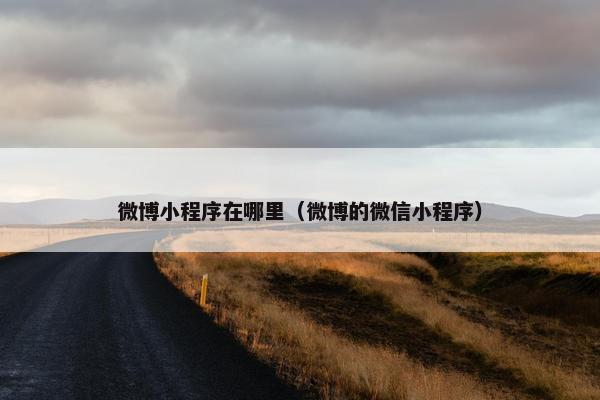 微博小程序在哪里（微博的微信小程序）