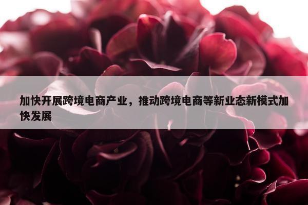 加快开展跨境电商产业，推动跨境电商等新业态新模式加快发展