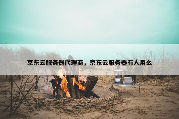 京东云服务器代理商，京东云服务器有人用么