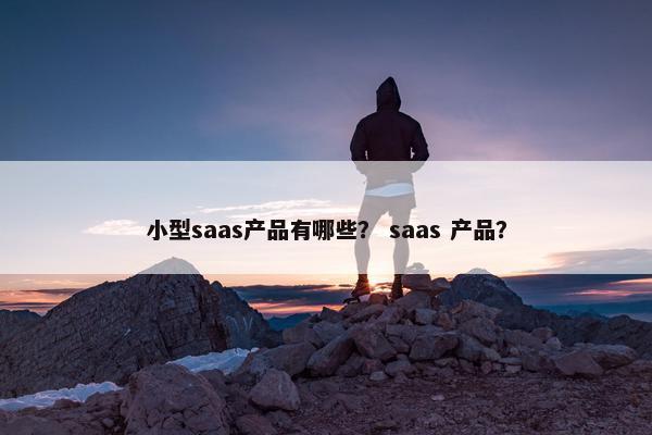 小型saas产品有哪些？ saas 产品？