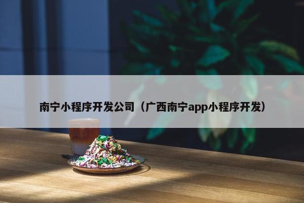 南宁小程序开发公司（广西南宁app小程序开发）