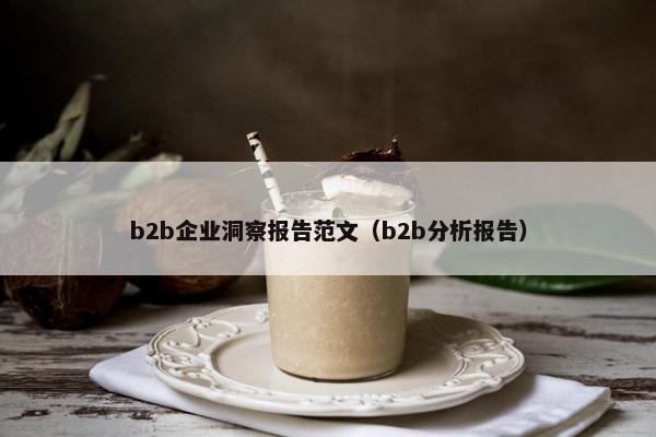 b2b企业洞察报告范文（b2b分析报告）