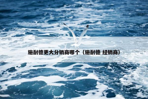 施耐德更大分销商哪个（施耐德 经销商）