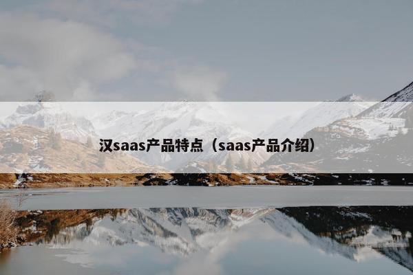 汉saas产品特点（saas产品介绍）