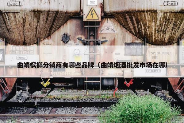 曲靖槟榔分销商有哪些品牌（曲靖烟酒批发市场在哪）