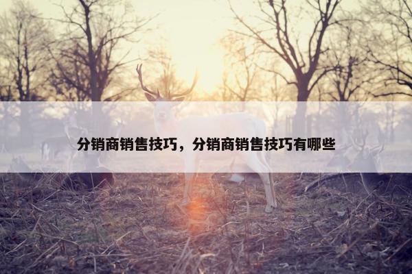 分销商销售技巧，分销商销售技巧有哪些