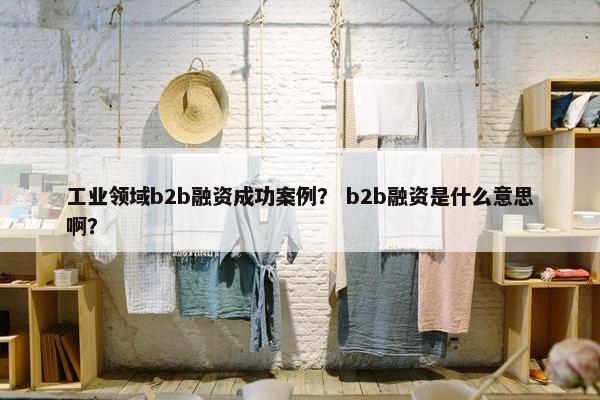 工业领域b2b融资成功案例？ b2b融资是什么意思啊？