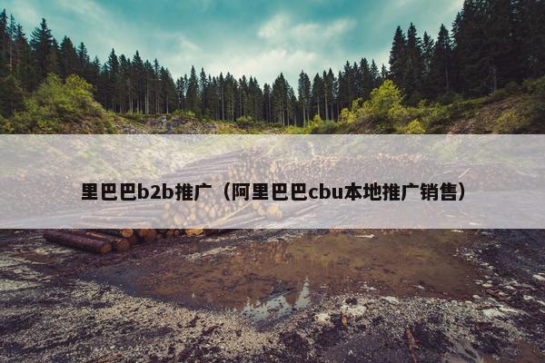 里巴巴b2b推广（阿里巴巴cbu本地推广销售）