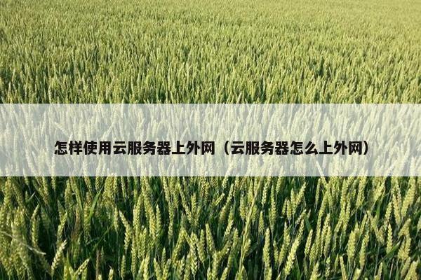 怎样使用云服务器上外网（云服务器怎么上外网）