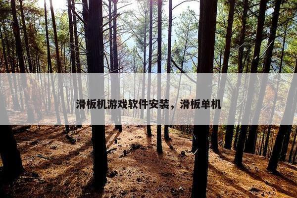 滑板机游戏软件安装，滑板单机
