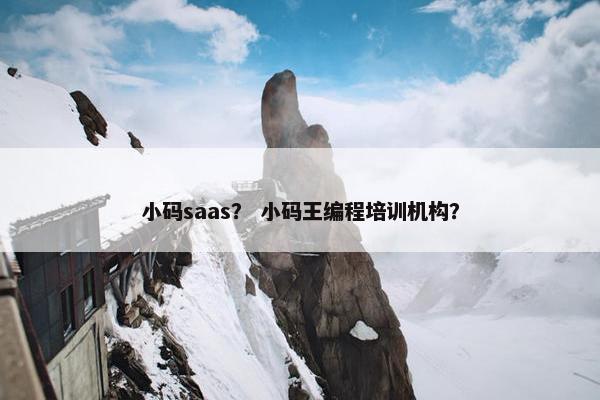 小码saas？ 小码王编程培训机构？