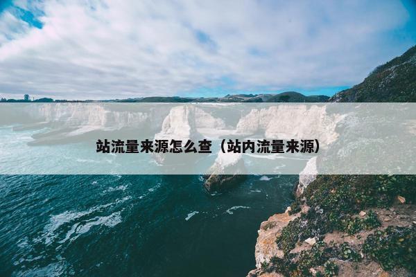 站流量来源怎么查（站内流量来源）