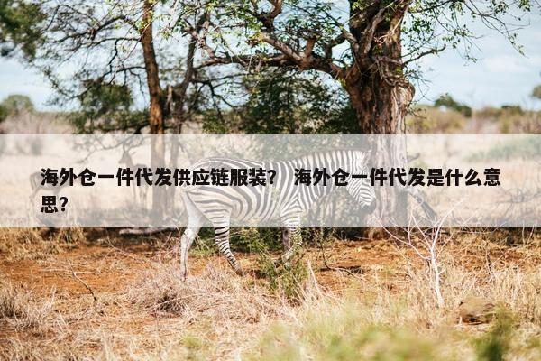 海外仓一件代发供应链服装？ 海外仓一件代发是什么意思？