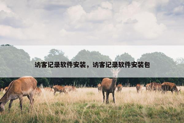 访客记录软件安装，访客记录软件安装包