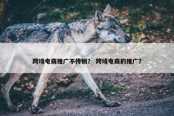跨境电商推广不传销？ 跨境电商的推广？