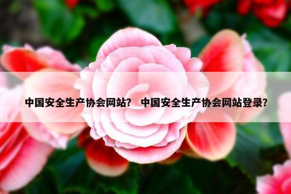 中国安全生产协会网站？ 中国安全生产协会网站登录？