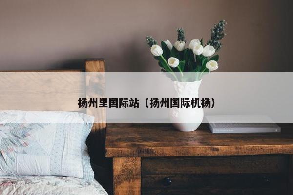 扬州里国际站（扬州国际机扬）