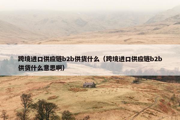 跨境进口供应链b2b供货什么（跨境进口供应链b2b供货什么意思啊）