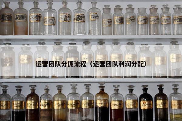 运营团队分佣流程（运营团队利润分配）