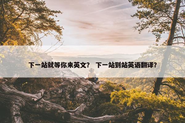 下一站就等你来英文？ 下一站到站英语翻译？