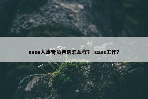 saas人事专员待遇怎么样？ saas工作？