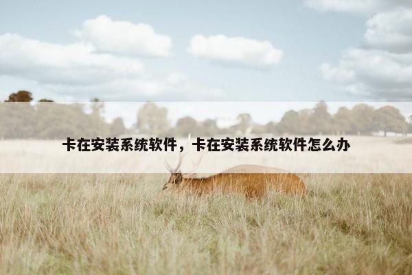 卡在安装系统软件，卡在安装系统软件怎么办