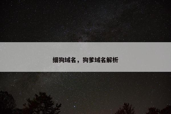 细狗域名，狗爹域名解析
