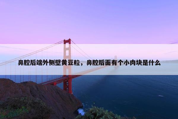 鼻腔后端外侧壁黄豆粒，鼻腔后面有个小肉块是什么