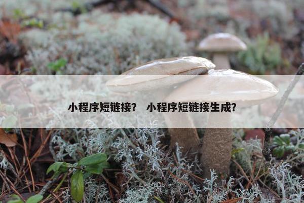 小程序短链接？ 小程序短链接生成？