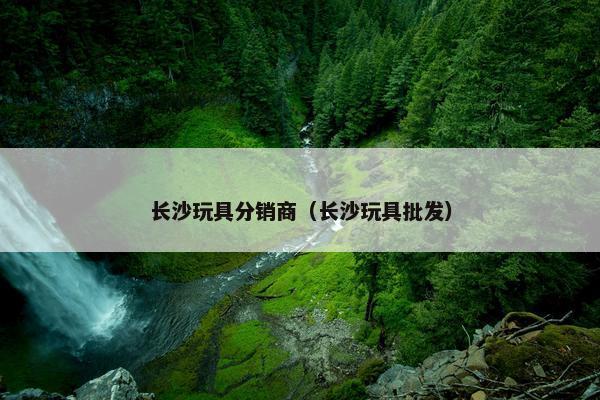 长沙玩具分销商（长沙玩具批发）