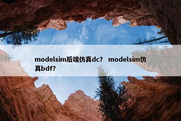 modelsim后端仿真dc？ modelsim仿真bdf？