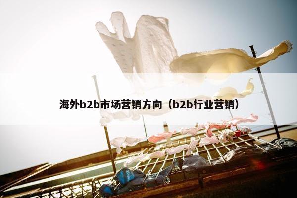 海外b2b市场营销方向（b2b行业营销）