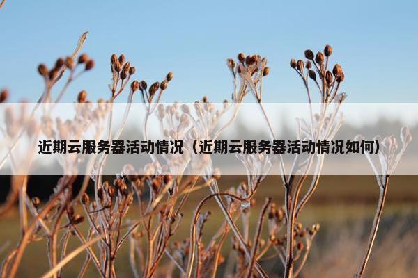 近期云服务器活动情况（近期云服务器活动情况如何）