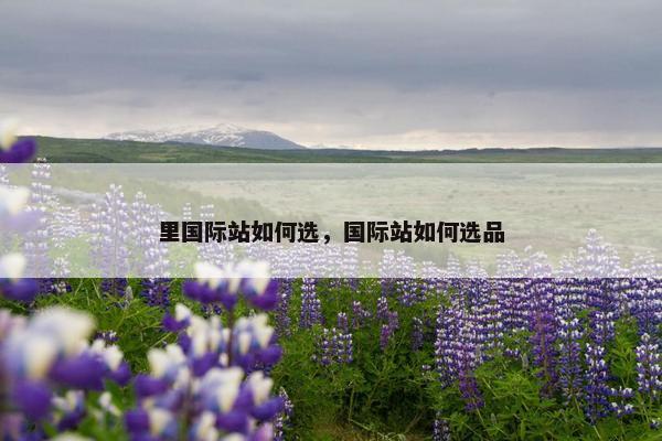 里国际站如何选，国际站如何选品