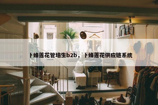 卜蜂莲花管培生b2b，卜蜂莲花供应链系统