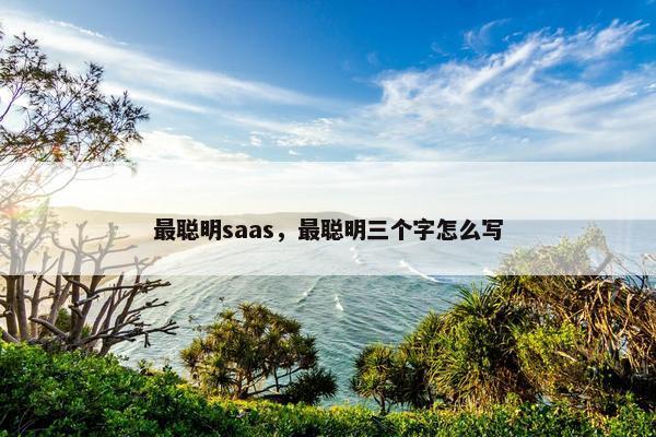 最聪明saas，最聪明三个字怎么写