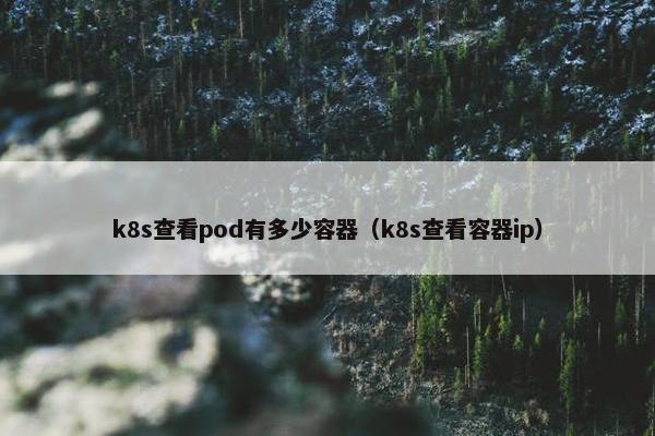 k8s查看pod有多少容器（k8s查看容器ip）