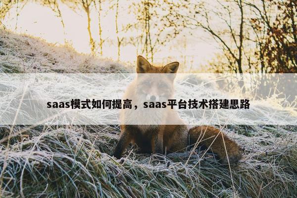 saas模式如何提高，saas平台技术搭建思路