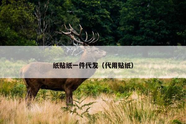 纸贴纸一件代发（代用贴纸）