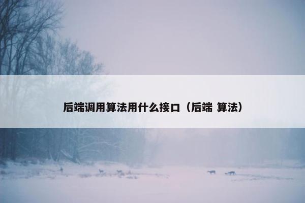 后端调用算法用什么接口（后端 算法）