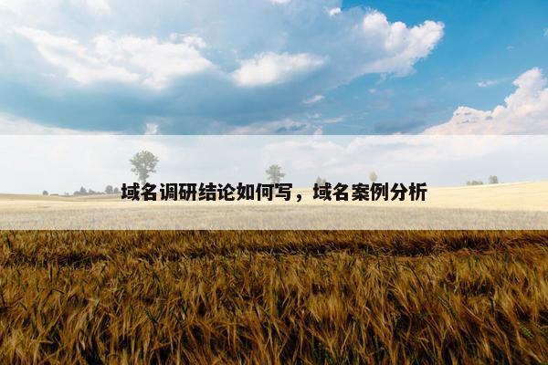 域名调研结论如何写，域名案例分析